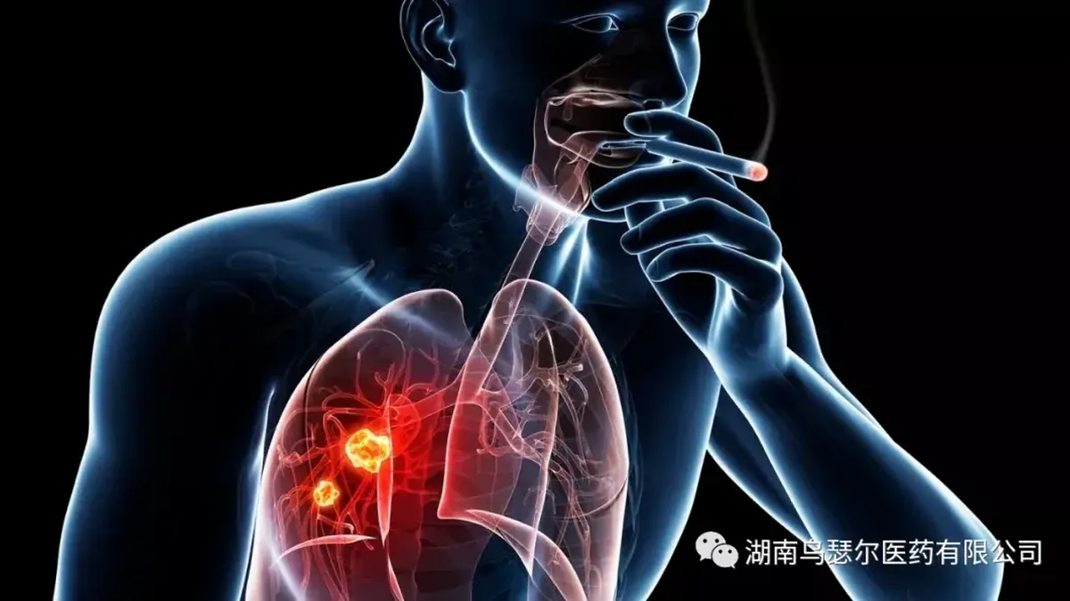 老挝药房内景